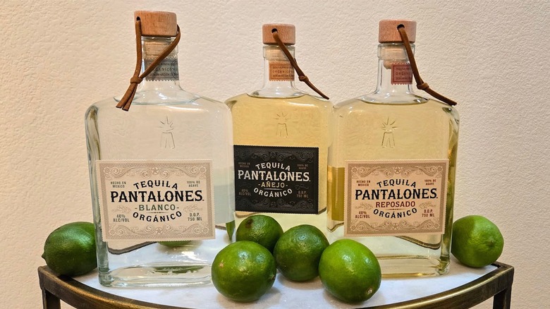 Pantalones tequila expressions