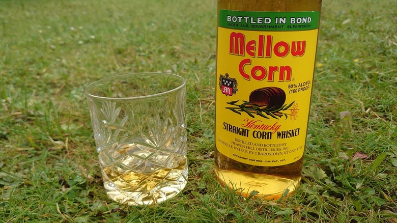 Mellow Corn in a glass