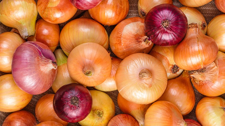 Different types of onions