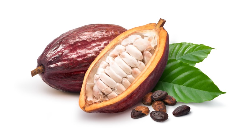 Cacao fruit and beans