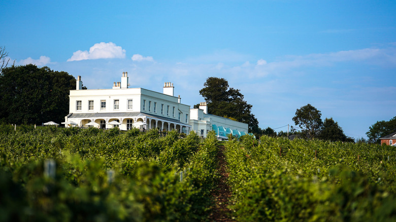 Lympstone Manor and vineyards