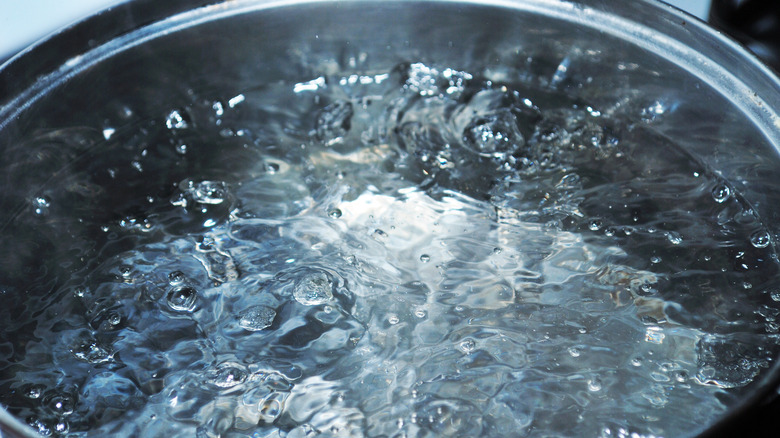 Water boiling in pot