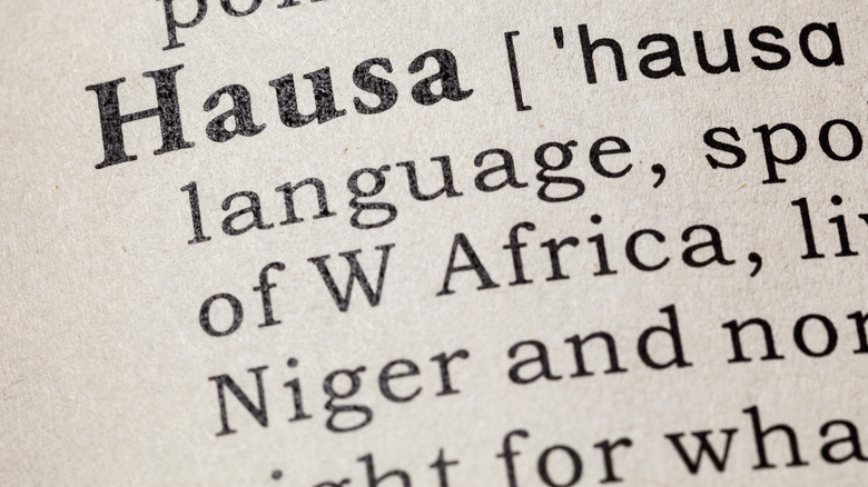 Dictionary definition of the word Hausa