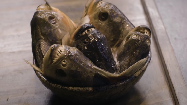 Bowl of piranhas Central in Peru