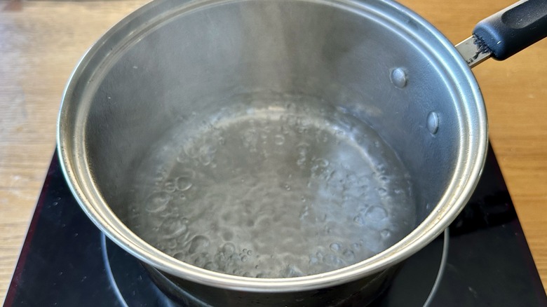 Simmering water in pot