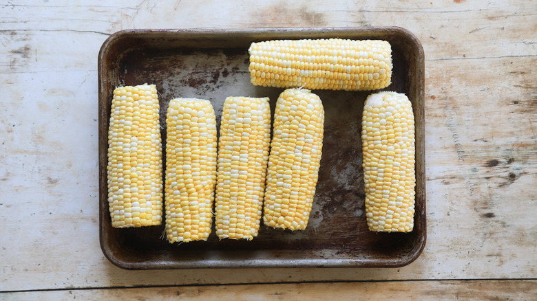 Ears of raw fresh corn