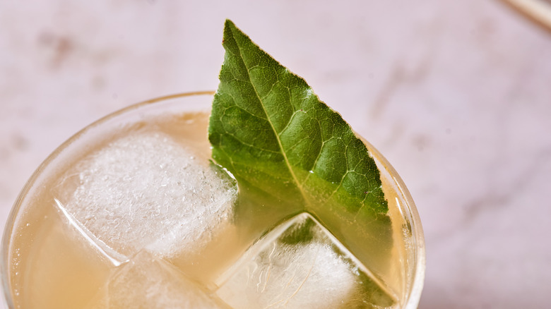 bay leaf in cocktail