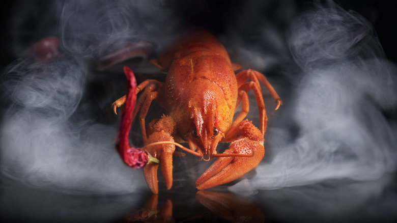 steamed lobster