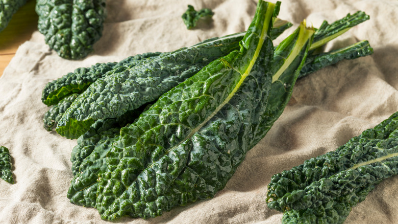 leaves of lacinato kale