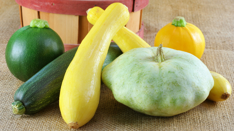 green yellow squash varieties 