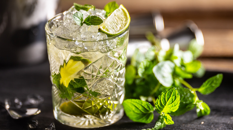 Lime herb garnished virgin mojito