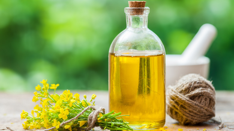 canola oil bottled 