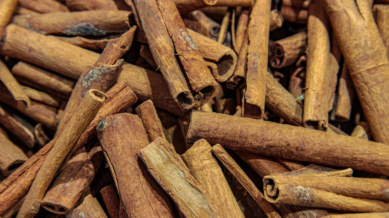 pile of dried cinnamon sticks