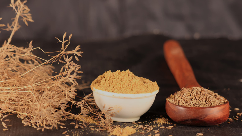 Cumin plant, powder, and seeds