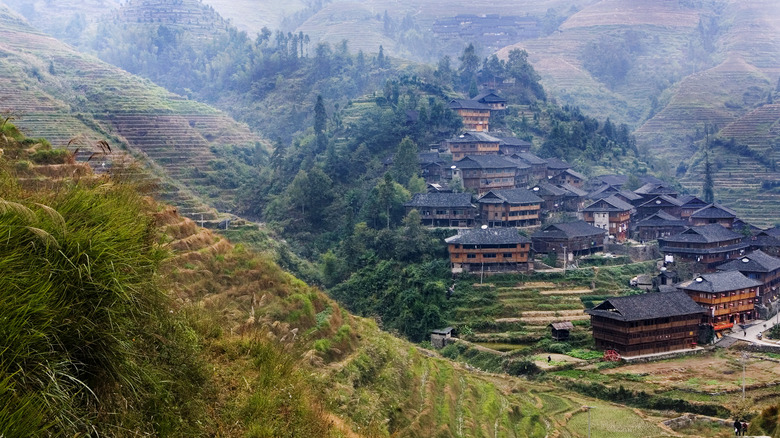 Chinese terrace farm