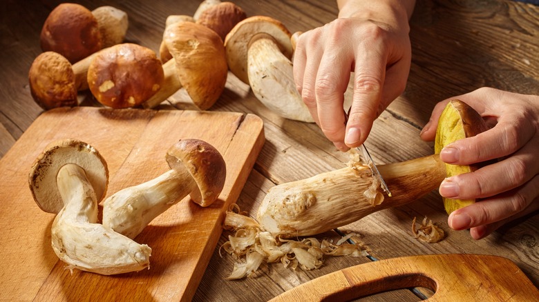 Person prepares mushroom for cooking