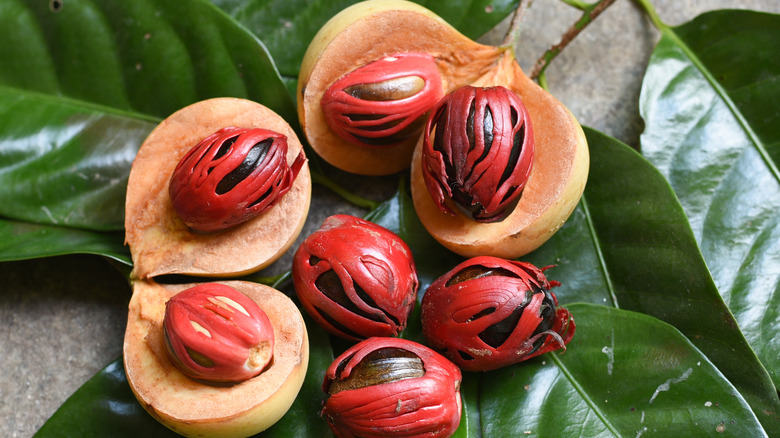 Nutmeg fruit, mace, and seed