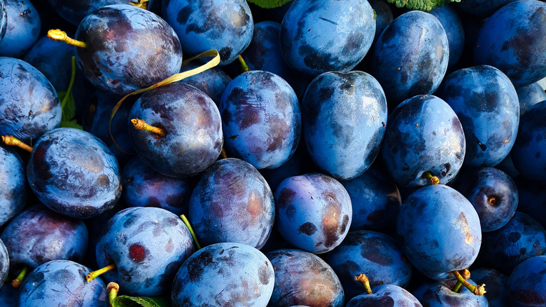 Group of blue plums