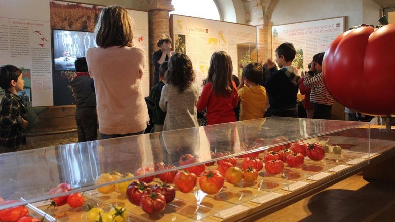 Museum visitors and cased tomatoes