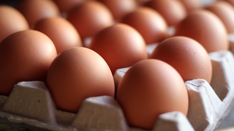 fresh eggs in carton