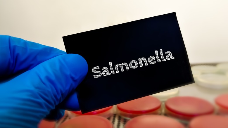 Salmonella sign in lab