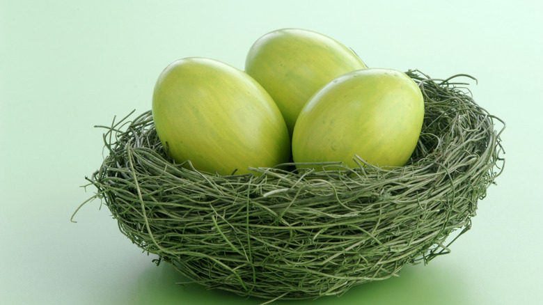 green eggs in green nest