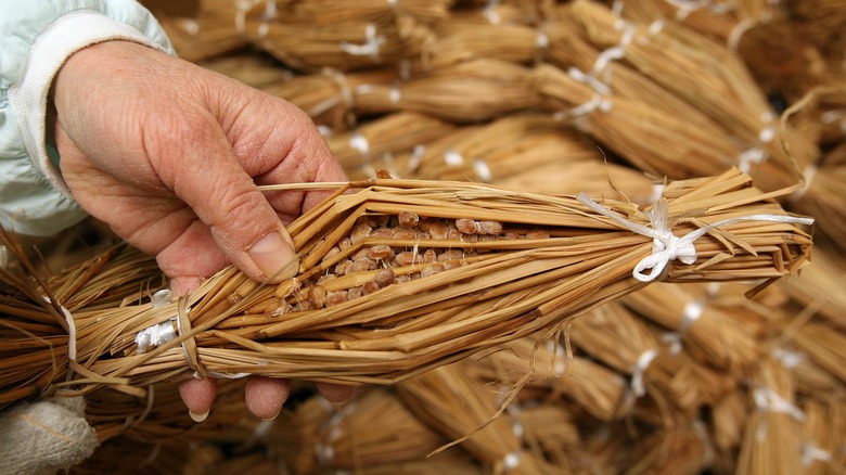 natto contained in rice paper