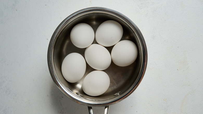 eggs in pot of water