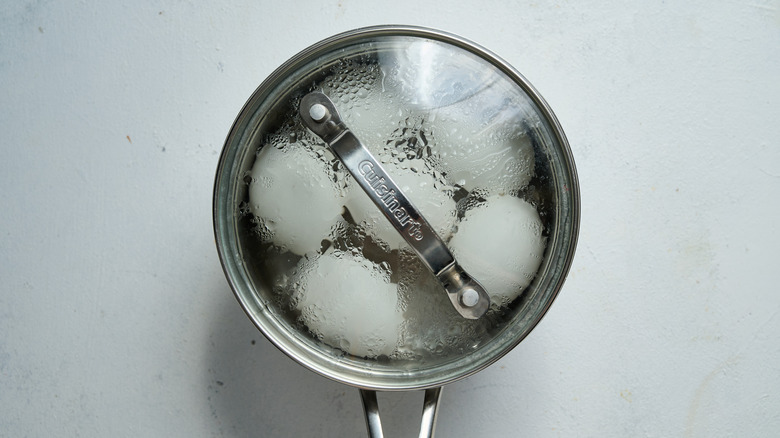 eggs in covered pot of water