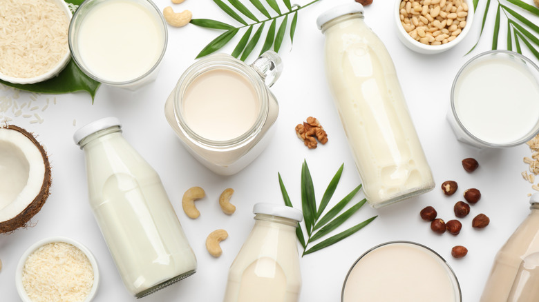 Plant-based milks