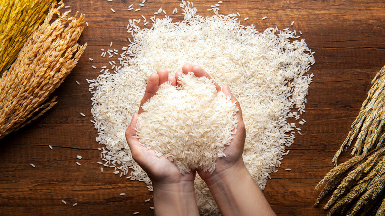 person holding rice