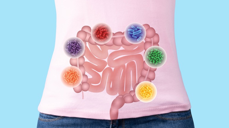 graphic depicting healthy gut microbiome