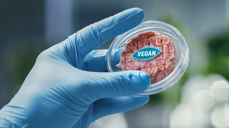 Vegan meat in a lab