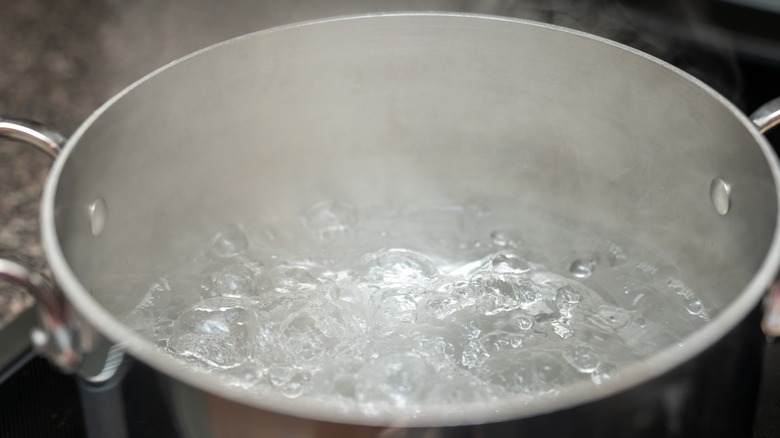 water boiling in pot