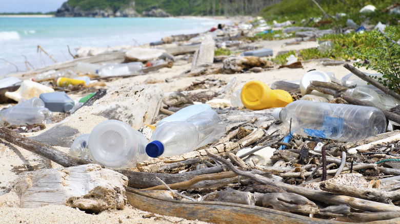 plastic waste on beach