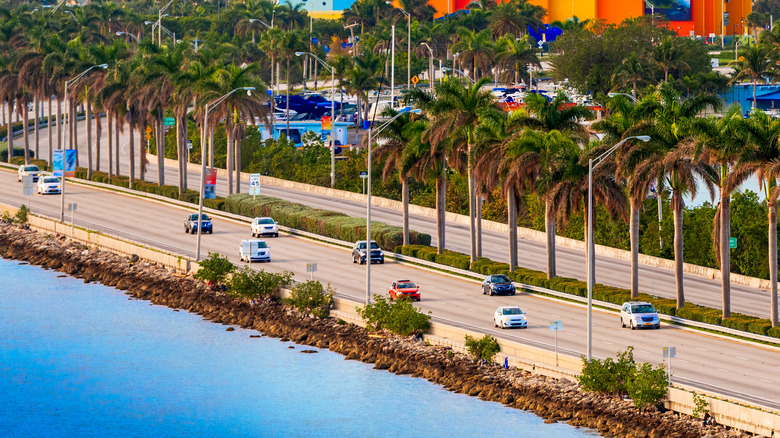 Miami road on coast lined with palm trees