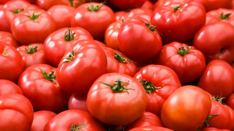 pile of tomatoes