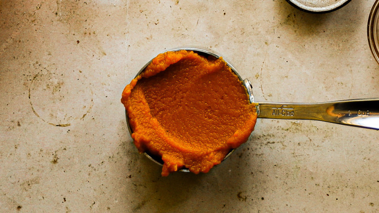 Scoop of canned pumpkin puree