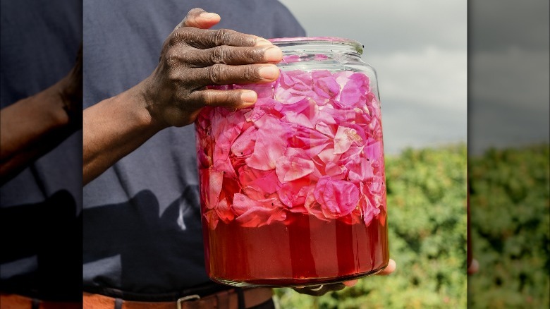 hands holding rose vinegar by sea