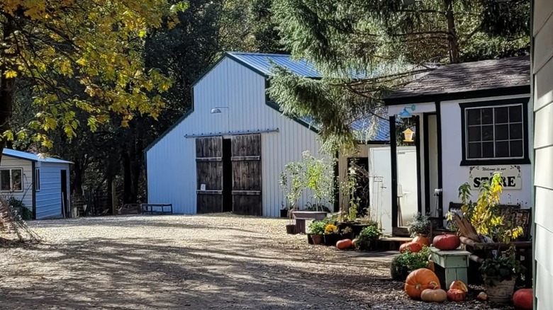 Barn and store exterior