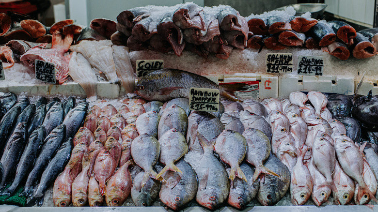 Fish in the grocery store