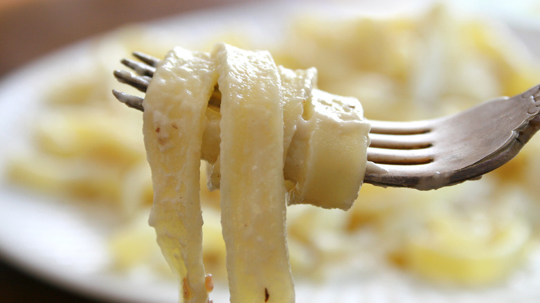 Pasta curled onto a fork 