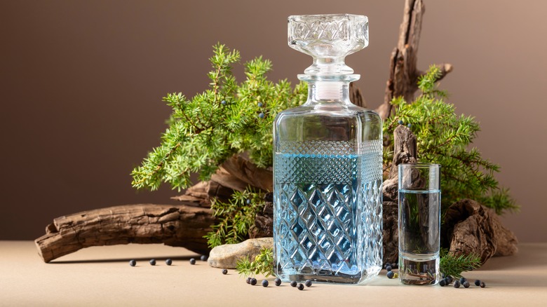 gin bottle with juniper berries