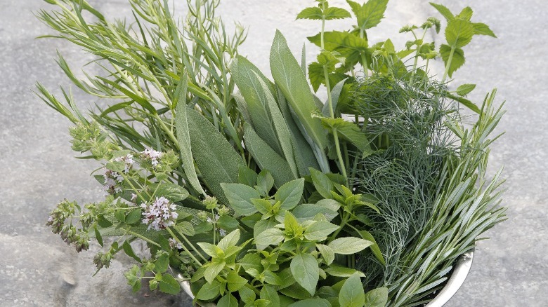 bowl of herbs 