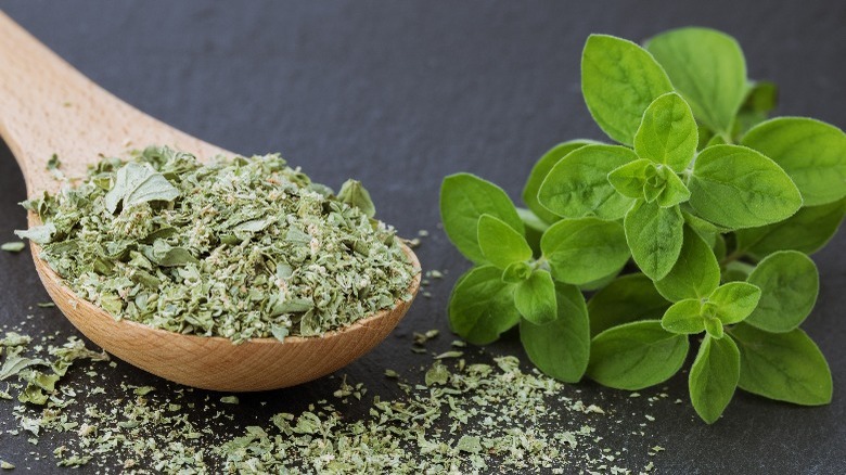 Dried and fresh oregano 