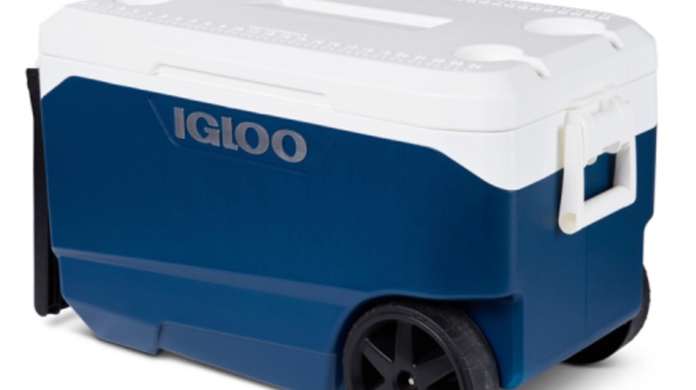 A blue and white Igloo 90-quart Flip & Tow Rolling Cooler