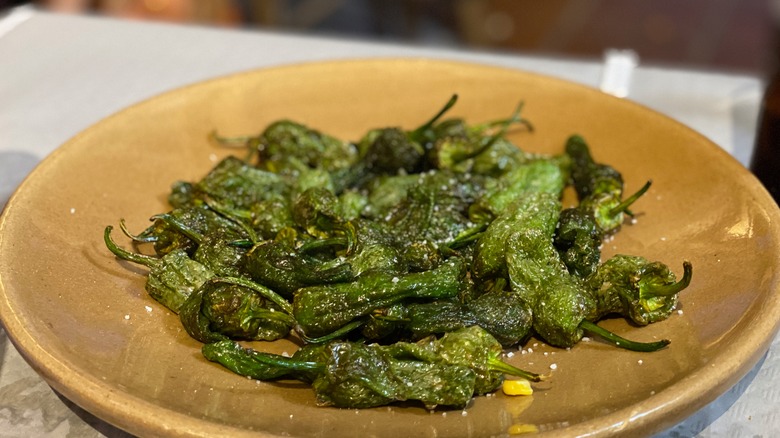 Padrón peppers served on a plate