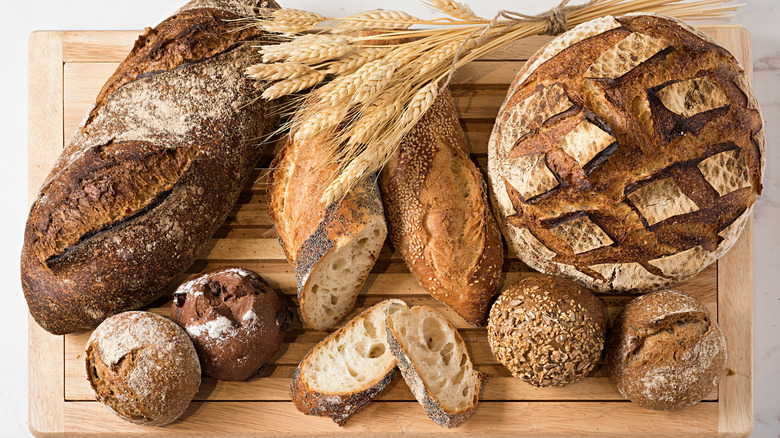 Multiple kinds of bakery loaves + dried wheat on cutting board