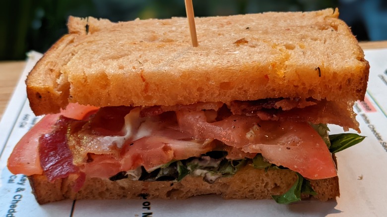 Panera tomato basil BLT sandwich