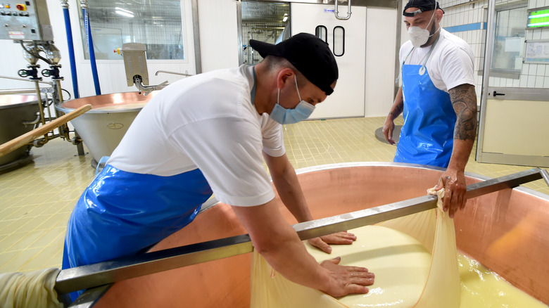 Making parmigiano